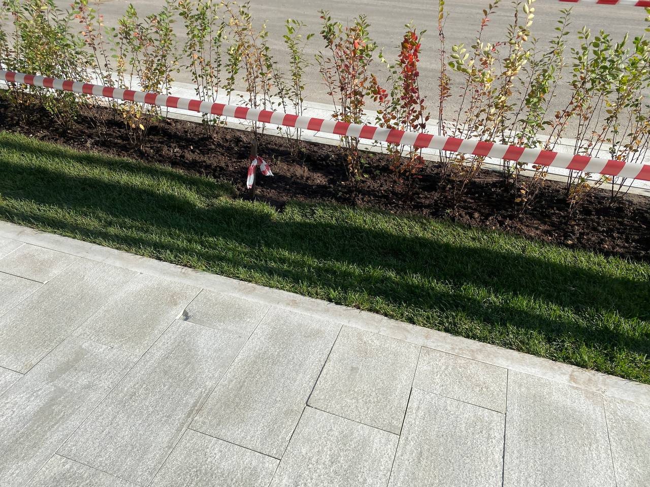 https://volgograd.blago-s.ru/storage/app/uploads/public/68b/fb1/6c6/68bfb16c6680d958739657.jpeg